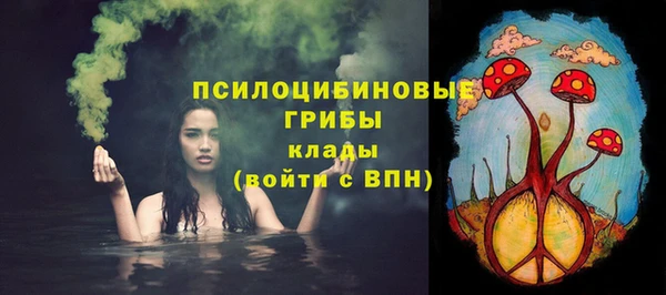 сатива Михайловка