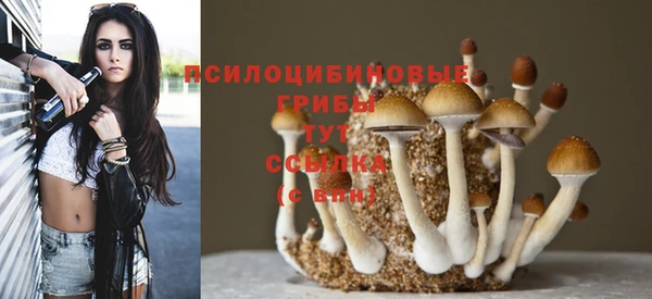 spice Михайловск